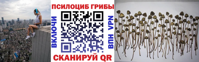мега вход  Калтан  Псилоцибиновые грибы ЛСД 